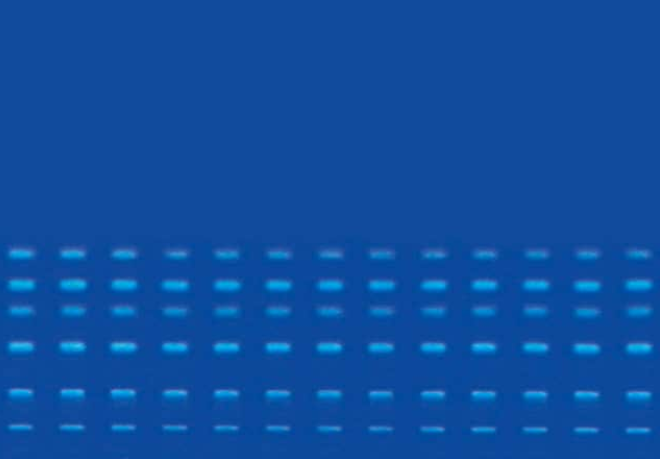 默克Discovery  DSC-18 SPE 散裝填料